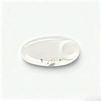 11 inch plastic plates